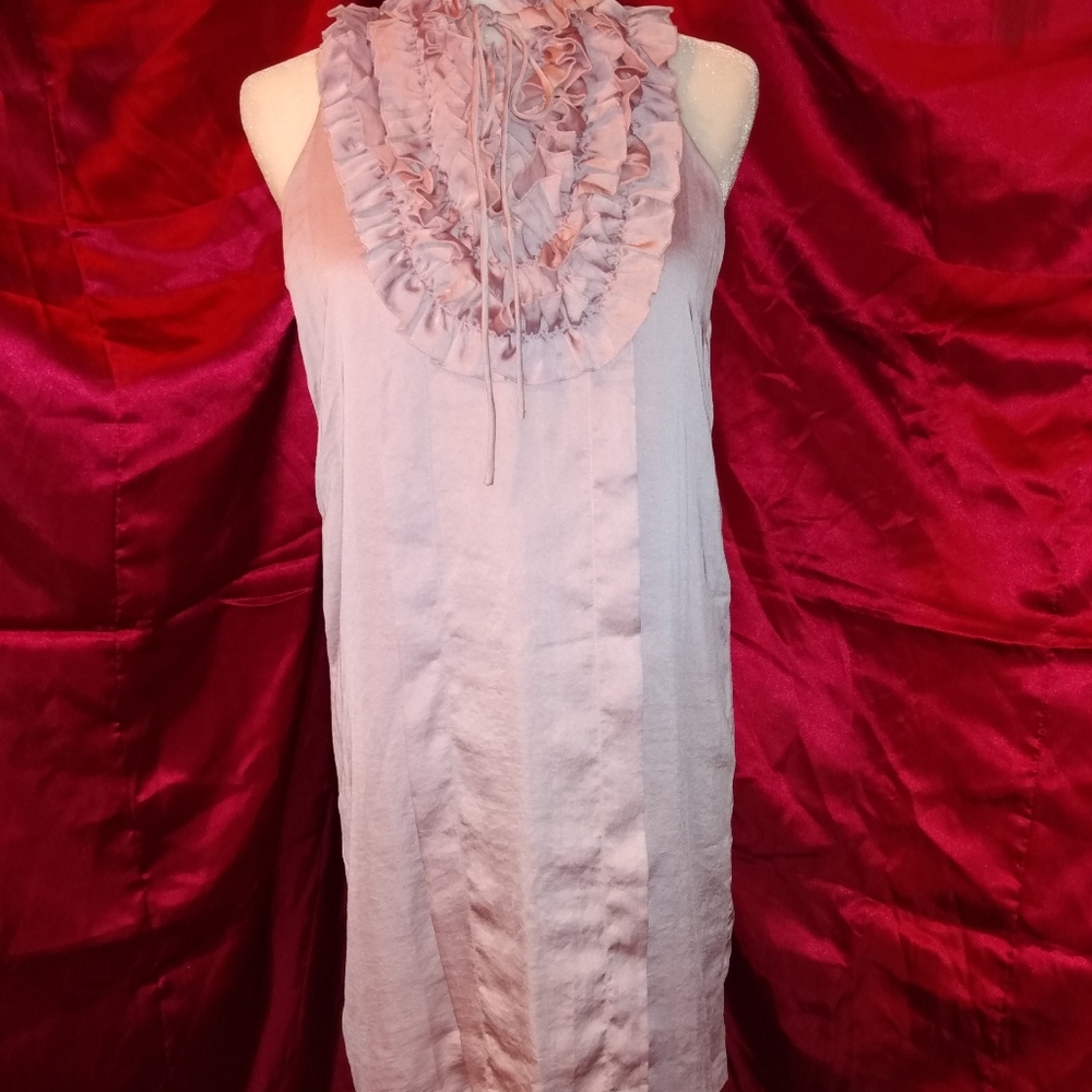 Pink Ruffle Top Dress